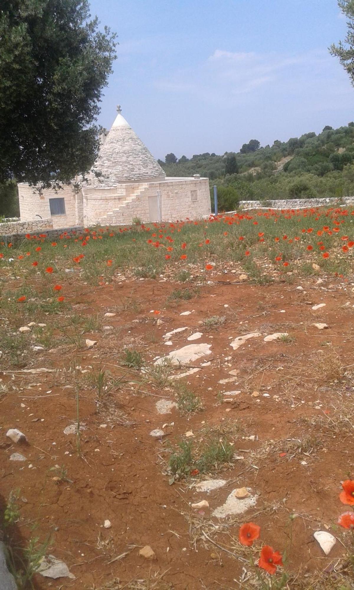 Trullo Alto Salento Villa Cisternino Eksteriør bilde