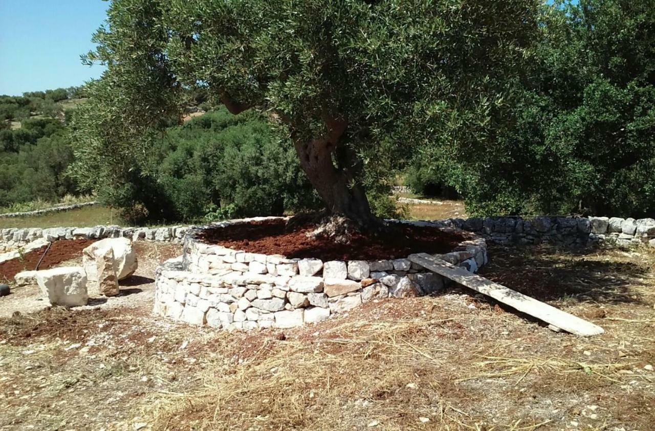 Trullo Alto Salento Villa Cisternino Eksteriør bilde